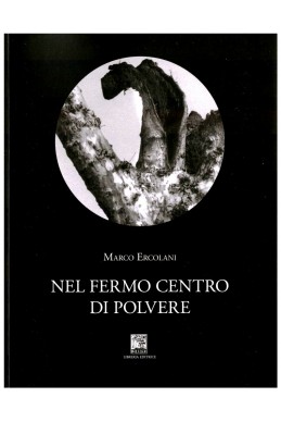 NEL FERMO CENTRO DI POLVERE